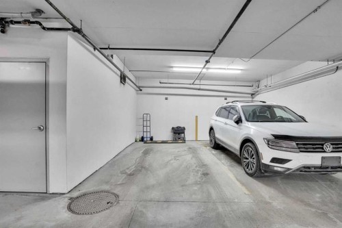 208-402 Marquis Lane Se, Calgary, AB - Indoor Photo Showing Garage