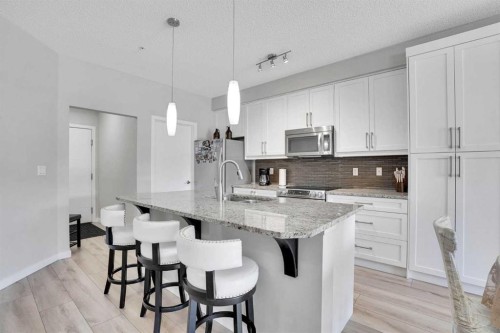 208-402 Marquis Lane Se, Calgary, AB - Indoor Photo Showing Kitchen With Upgraded Kitchen
