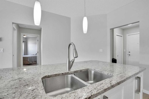 208-402 Marquis Lane Se, Calgary, AB - Indoor Photo Showing Kitchen With Double Sink