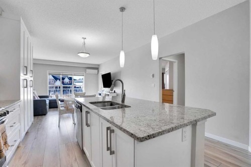 208-402 Marquis Lane Se, Calgary, AB - Indoor Photo Showing Kitchen With Double Sink With Upgraded Kitchen