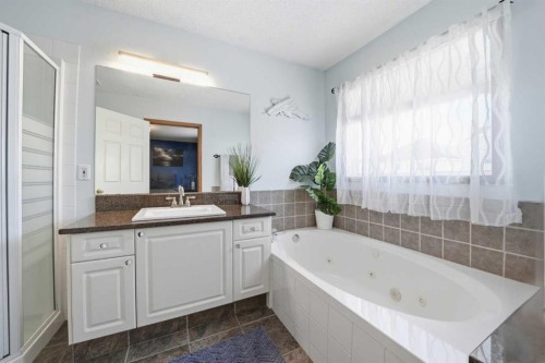 263 Coral Keys Drive Ne, Calgary, AB - Indoor Photo Showing Bathroom