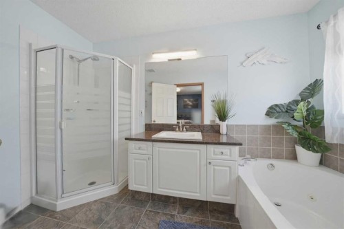 263 Coral Keys Drive Ne, Calgary, AB - Indoor Photo Showing Bathroom