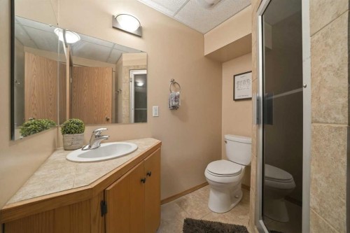 263 Coral Keys Drive Ne, Calgary, AB - Indoor Photo Showing Bathroom