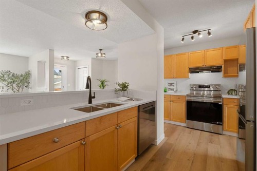 187 Elgin Way Se, Calgary, AB - Indoor Photo Showing Kitchen With Double Sink
