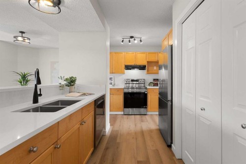 187 Elgin Way Se, Calgary, AB - Indoor Photo Showing Kitchen With Double Sink