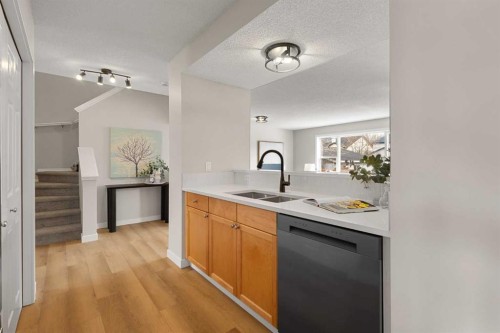 187 Elgin Way Se, Calgary, AB - Indoor Photo Showing Kitchen With Double Sink