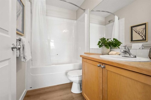 187 Elgin Way Se, Calgary, AB - Indoor Photo Showing Bathroom