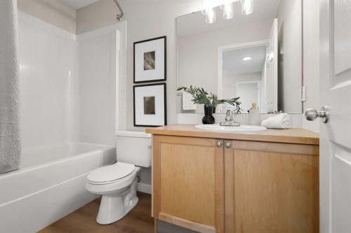 187 Elgin Way Se, Calgary, AB - Indoor Photo Showing Bathroom