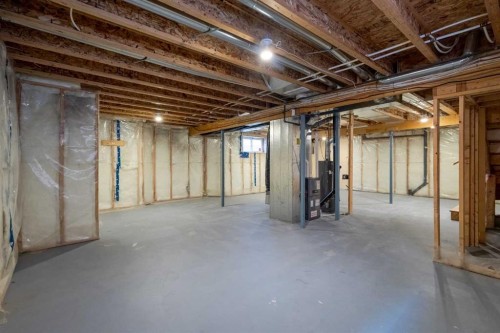 187 Elgin Way Se, Calgary, AB - Indoor Photo Showing Basement