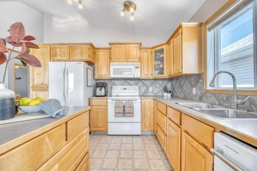133 Parklane Drive, Strathmore, AB - Indoor Photo Showing Kitchen With Double Sink