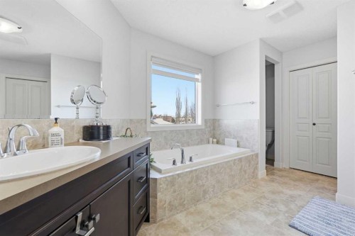 238 Sunset View, Cochrane, AB - Indoor Photo Showing Bathroom