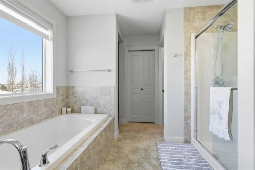 238 Sunset View, Cochrane, AB - Indoor Photo Showing Bathroom