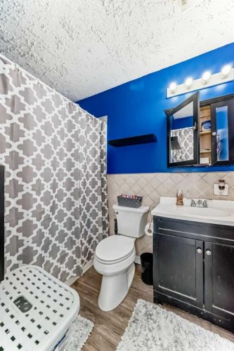 644 Spring Haven Court Se, Airdrie, AB - Indoor Photo Showing Bathroom