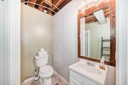 644 Spring Haven Court Se, Airdrie, AB - Indoor Photo Showing Bathroom