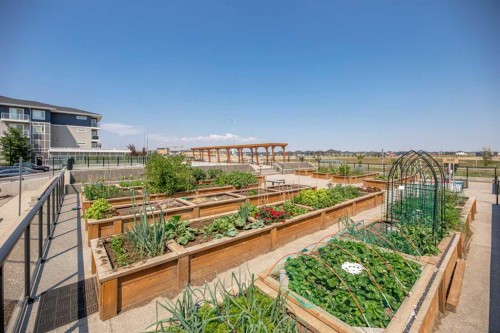 2126-76 Cornerstone Passage Ne, Calgary, AB - Outdoor