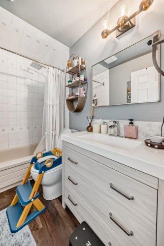 131 Huntstrom Drive Ne, Calgary, AB - Indoor Photo Showing Bathroom