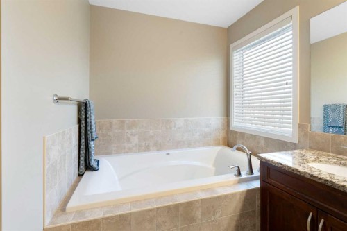 116 Brightoncrest Manor Se, Calgary, AB - Indoor Photo Showing Bathroom