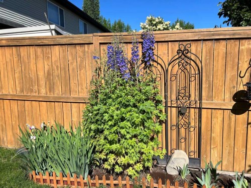 10 Cougar Ridge Bay Sw, Calgary, AB - Outdoor