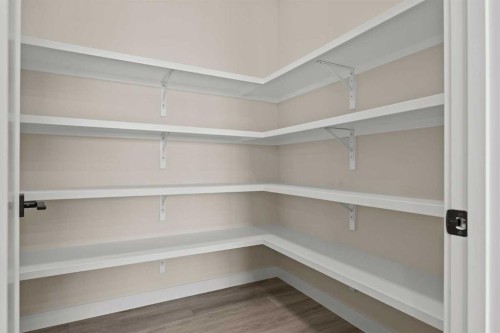 462 Kinniburgh Loop, Chestermere, AB - Indoor With Storage