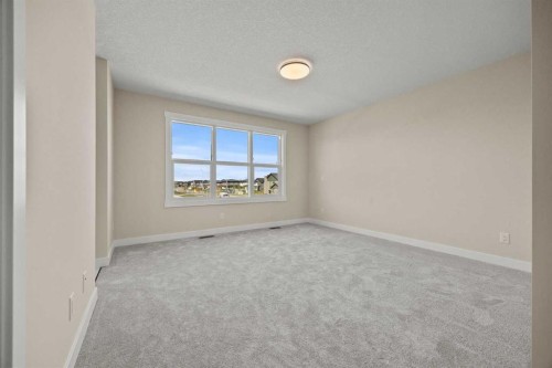 462 Kinniburgh Loop, Chestermere, AB - Indoor Photo Showing Other Room