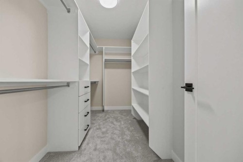 462 Kinniburgh Loop, Chestermere, AB - Indoor With Storage