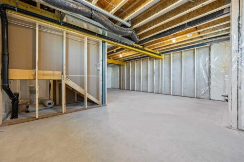 462 Kinniburgh Loop, Chestermere, AB - Indoor Photo Showing Basement