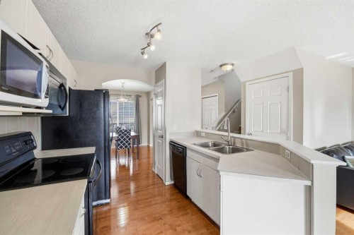252 Saddlecrest Blvd Ne, Calgary, AB - Indoor Photo Showing Kitchen With Double Sink