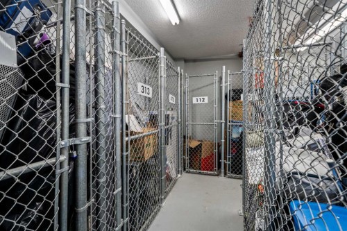313-100 Auburn Meadows Common Se, Calgary, AB - Indoor With Storage