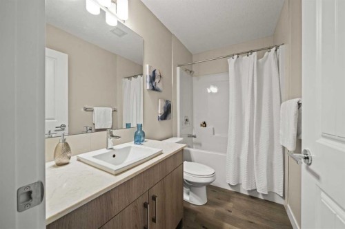 313-100 Auburn Meadows Common Se, Calgary, AB - Indoor Photo Showing Bathroom