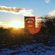 29240 Range Road 40  Rural Mountain View County, AB T0M 0R0