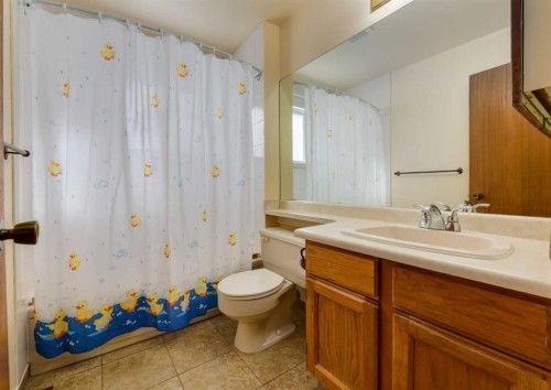 60 Macewan Glen Drive Nw, Calgary, AB - Indoor Photo Showing Bathroom