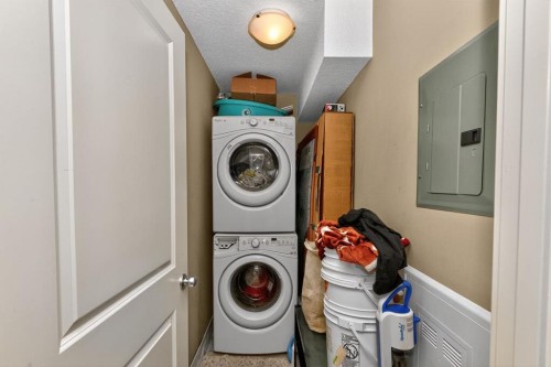 1303-6118 80 Avenue Ne, Calgary, AB - Indoor Photo Showing Laundry Room