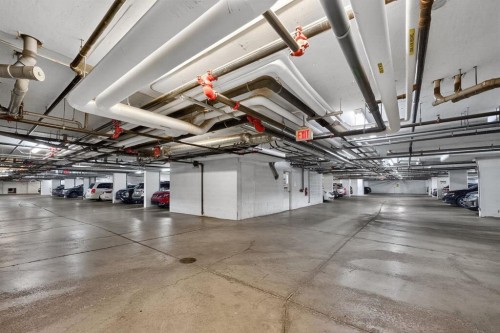 1303-6118 80 Avenue Ne, Calgary, AB - Indoor Photo Showing Garage