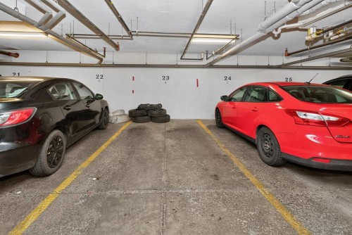 1303-6118 80 Avenue Ne, Calgary, AB - Indoor Photo Showing Garage