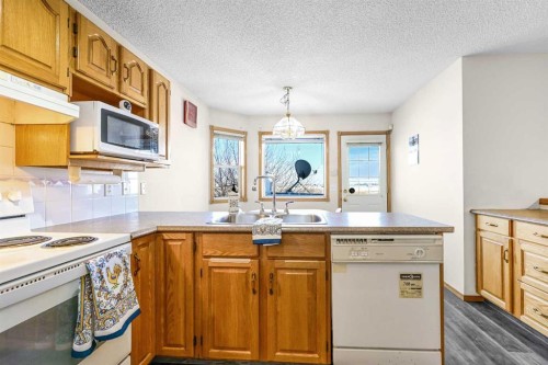 63 Anaheim Crescent Ne, Calgary, AB - Indoor Photo Showing Kitchen With Double Sink