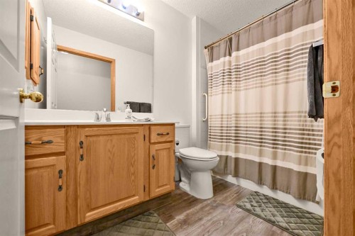63 Anaheim Crescent Ne, Calgary, AB - Indoor Photo Showing Bathroom