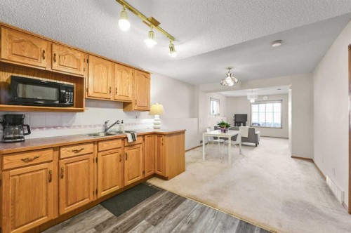 63 Anaheim Crescent Ne, Calgary, AB - Indoor Photo Showing Kitchen With Double Sink