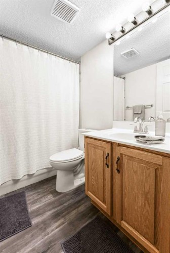 63 Anaheim Crescent Ne, Calgary, AB - Indoor Photo Showing Bathroom
