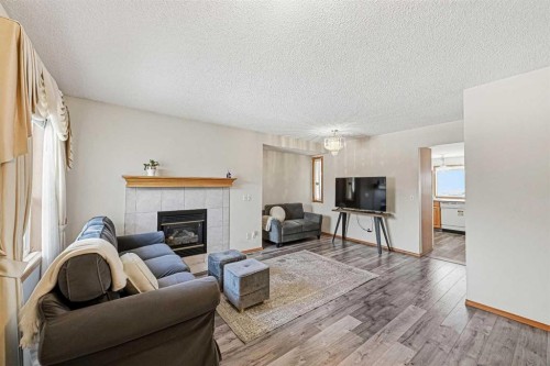 63 Anaheim Crescent Ne, Calgary, AB - Indoor Photo Showing Living Room With Fireplace
