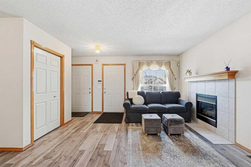 63 Anaheim Crescent Ne, Calgary, AB - Indoor Photo Showing Living Room With Fireplace