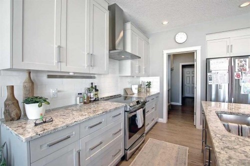 22 Evansborough View Nw, Calgary, AB - Indoor Photo Showing Kitchen With Double Sink With Upgraded Kitchen