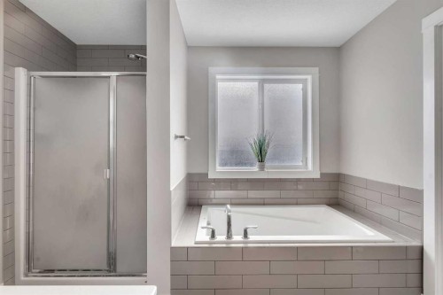 188 Cornerstone Circle Ne, Calgary, AB - Indoor Photo Showing Bathroom