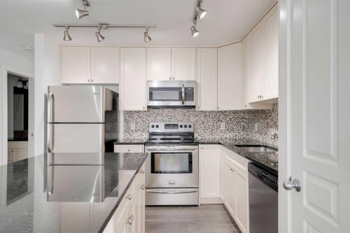 131 Cranford Walk Se, Calgary, AB - Indoor Photo Showing Kitchen With Stainless Steel Kitchen With Upgraded Kitchen