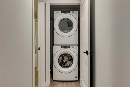 182 Setonstone Green Se, Calgary, AB - Indoor Photo Showing Laundry Room