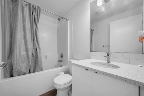 155 Savanna Walk Ne, Calgary, AB - Indoor Photo Showing Bathroom