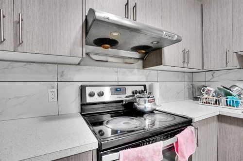 141 Saddlecrest Close Ne, Calgary, AB - Indoor Photo Showing Kitchen