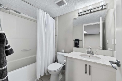 24 Walden Mount Se, Calgary, AB - Indoor Photo Showing Bathroom