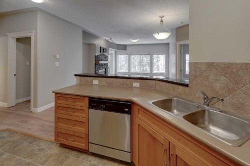 209-10 Discovery Ridge Close Sw, Calgary, AB - Indoor Photo Showing Kitchen With Double Sink