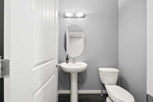15 Copperpond Landing Se, Calgary, AB - Indoor Photo Showing Bathroom