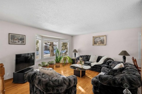 5004 Rundleview Road Ne, Calgary, AB - Indoor Photo Showing Living Room